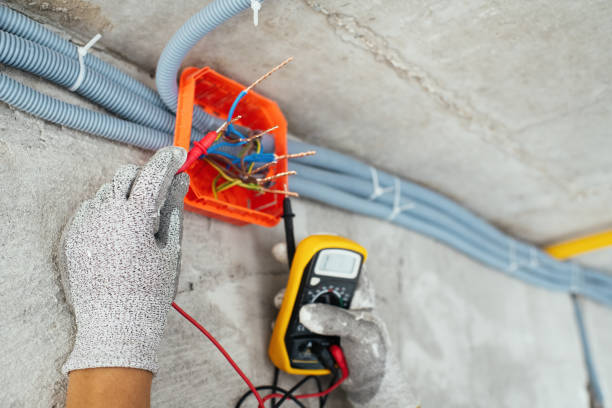 Best Licensed Electrician  in Urania, LA